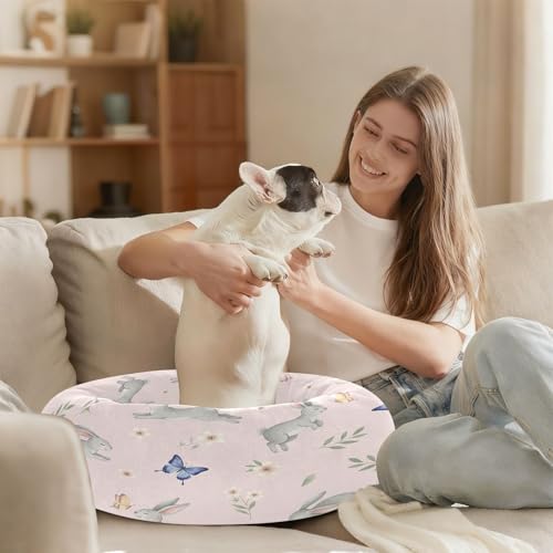 Round Cat Bed Dog Bed,20in Cute Rabbit Washable Non-Slip Bottom Soft Pet Bed for Small Medium Dogs and Cats - size: 20in