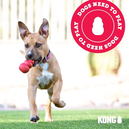 KONG Extreme Ball with Rope - Dog Fetch Toy with Rope for Easy Throwing - Durable Dog Ball Toy for Tug, Playtime & More s Most Durable Natural Rubber - Black - for Large Dogs