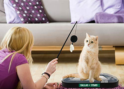 Pets First NHL Dallas Stars Hockey Field Scratching Cat Toy with Interactive Cat Ball Bell and Tracks - color: Dallas Stars