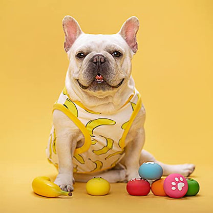 Squeaky Dog Toys, Soft Latex Rubber Squeaky Dog Ball for Small Dogs Puppies, Cute Bounce Squeak Toys Balls with Funny Cute Face - color: 2.2“ Paw&Fruit - 6 Pack, size: Small