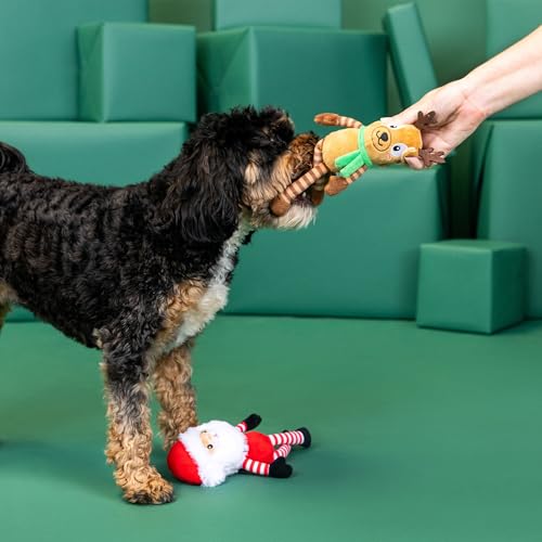 Fringe Studio Pet Toy, Friend at Frost Sight Plush Dog Toy 2 Piece Set, Santa & Reindeer, PetShop Collection (312062) - color: Frost Sight