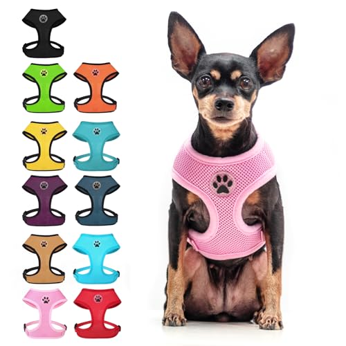 BINGPET Small Dog Harness, No Pull Dog Harness Small Sized Dogs, Soft Light Breathable Mesh Puppy Vest with Safety Buckle-Adjustable Step in Pet Harnesses for Easy Walking, Running, Training - color: Pink, size: S (NECK: 12", CHEST: 14"-18")