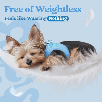 rabbitgoo Small Dog Harness, Step-in Soft Mesh Puppy Vest with Safety Buckle, Breathable Reflective Pet Harness for Extra Small Dogs, Blue XXXS - color: Blue, size: Xxxs(chest:10.8"-11.8")