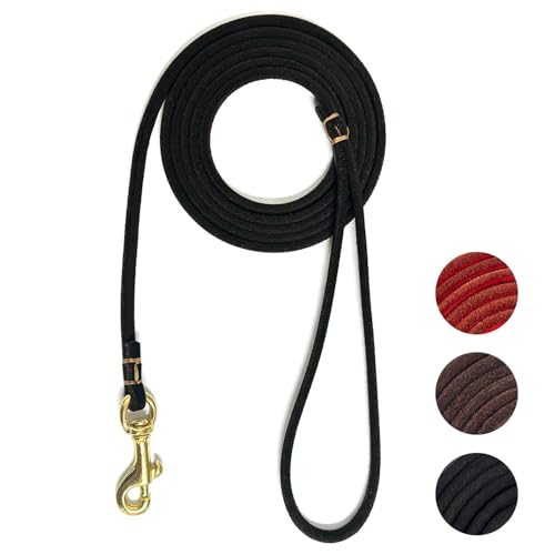 Guiding Star Leather Dog Leash 6 ft x 1/4 inch,Thin and Lightweight Leather Leashes for Small Dogs,Leather Cat Leashes for Small Cats,Soft Genuine Leather Dog Training Leashes for Petite Dogs Black - color: Black, size: Basic Leash