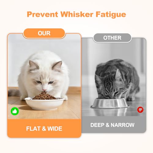 SPUNKYJUNKY Shallow Elevated Cat Bowl with Acacia Wood Stand Wide Raised Ceramic Cat Dishes Whisker Friendly Pet Food and Water Plates (Striped Pattern, White) - color: White