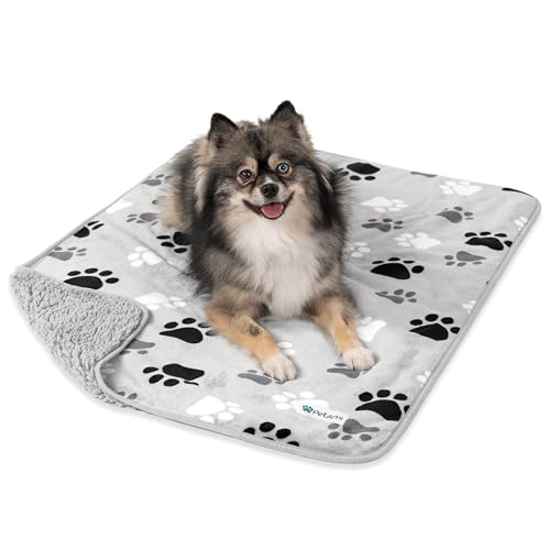 PETAMI Sherpa Fleece Waterproof CAT and Dog Blanket, PAW Gray, Medium - color: Paw Gray, size: Medium (29x40)