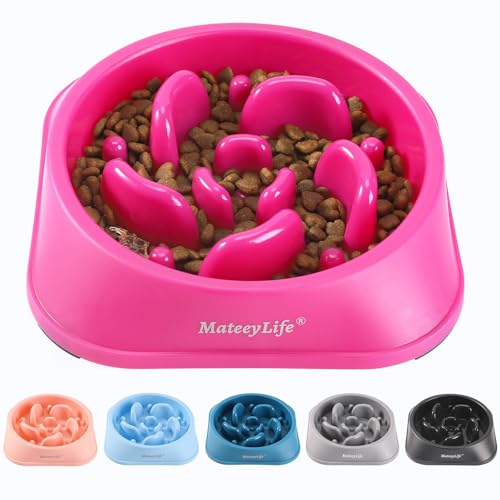 MateeyLife Slow Feeder Dog Bowls, Anti-Choking Puzzle Dog Food Bowls, Anti-Slip Interactive Feeding Slow Down Eating, Bloat Stop Maze Dishes for Medium Large Breeds Purple - color: J-Purple, size: Medium