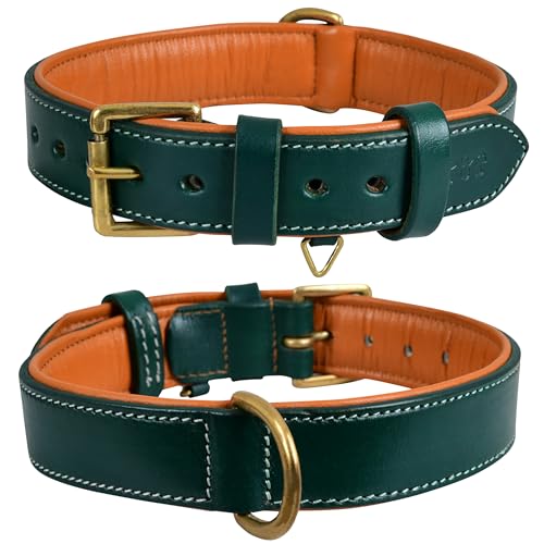 Genuine Leather Dog Collar – 1" Wide Full Grain, Padded, Heavy Duty with Brass Buckle for Small, Medium, Large, XL Dogs (Medium (Fit Neck Size 14.5"-18.5"), Teal Green) - color: Teal Green, size: M (Fit Neck Size 14.5"-18.5")