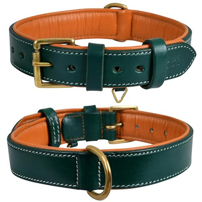 Genuine Leather Dog Collar – 1" Wide Full Grain, Padded, Heavy Duty with Brass Buckle for Small, Medium, Large, XL Dogs (Medium (Fit Neck Size 14.5"-18.5"), Teal Green) - color: Teal Green, size: M (Fit Neck Size 14.5"-18.5")