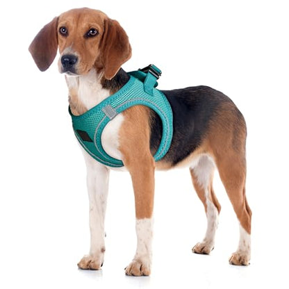 Filbert Dog Harness Large Sized Dog, Step-in Reflective Harness Large Sized Dogs, Mesh Vest, Adjustable, Soft, High Reflectivity, Breathable Fabric, Heavy Duty, Viridian Green - color: Viridian Green, size: L (Chest: 18.25 - 20.5")
