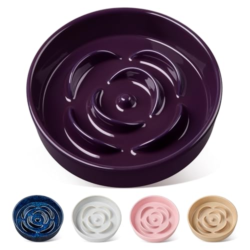 vancasso Slow Feeder Dog Bowl, 1.5 Cups Ceramic Slow Feeder for Medium Breed, Puzzle Maze Food Dog Bowl for Fast Eater, Dark Purple - color: Dark Purple, size: M - 1.5 Cups