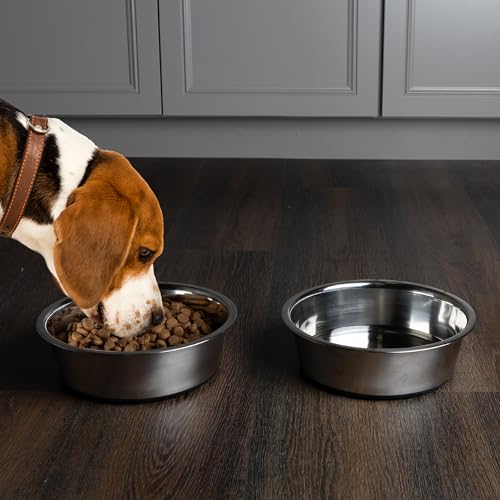 Set of 2 Stainless Steel Dog Bowls - 64oz/8 Cups Food and Water Bowls for Dogs and Cats - Non Slip Metal Pet Dishes for Medium to Large Sized Pets - Puppy Essentials by PETMAKER - size: 64 oz