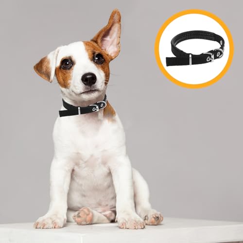 Adjustable Soft Pet Collar with Alloy Buckle Black Small Foam Puppy and Kitten Neck Collar for Dogs and Cats with Bell