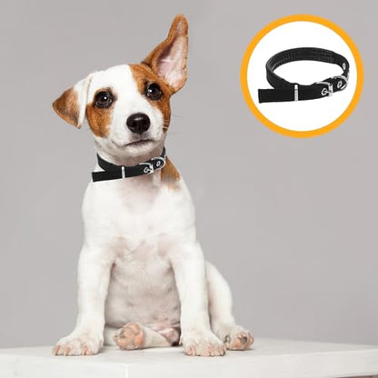 Adjustable Soft Pet Collar with Alloy Buckle Black Small Foam Puppy and Kitten Neck Collar for Dogs and Cats with Bell