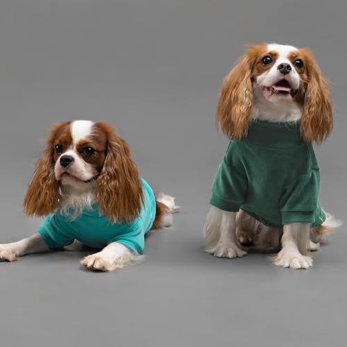 Fitwarm 3 Pack Fleece Sweater, Turtleneck Sweatshirt, Winter Clothes for Small Dogs & Cats, Pet Pullover Jumper, Cat Apparel, Dark Green, Teal Green, Olive Green, XS - color: Dark Green-Aqua Green-Bean Green, size: X-Small