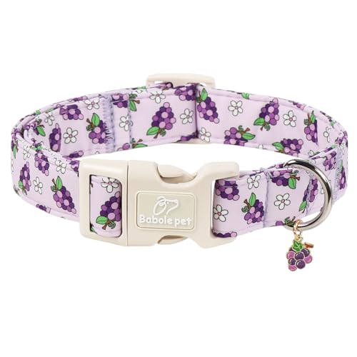 Summer Dog Collar Cute Grape Dog Collars for Puppy Small Dogs - Lightweight Adjustable Boy Girl Dogs Everyday Collar with Quick Release Buckle XS - color: Cute Grape, size: XS