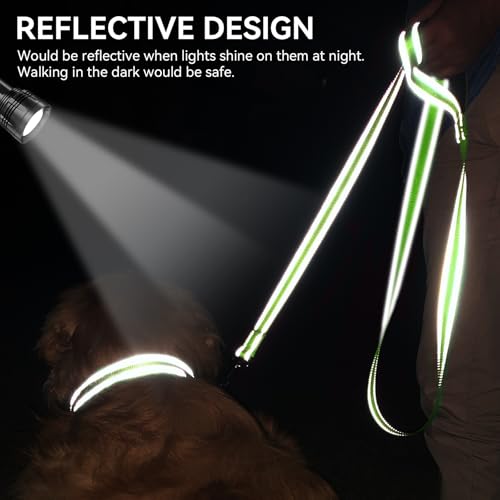 Joytale Dog Leash, 4 FT Double-Sided Reflective, Padded Handle Nylon Heavy Duty Leashes for Small Dogs Walking, Green - color: Green, size: 4 ft Narrow