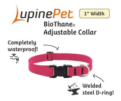 LupinePet Waterproof Splash Dog Collar, Neon Green, 1-inch Wide, adjusts 12-20", Made with BioThane - color: Neon Green, size: Medium: Adjusts from 12 to 20 in, 1-in wide