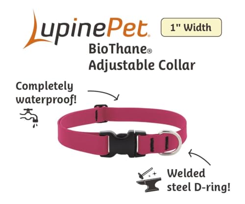 LupinePet Waterproof Splash Dog Collar, True Blue, 1-inch Wide, adjusts 12-20", Made with BioThane - color: True Blue, size: Medium: Adjusts from 12 to 20 in, 1-in wide