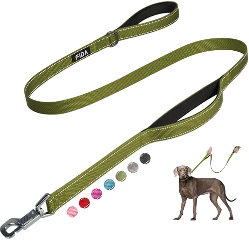 Fida 4 FT Heavy Duty Dog Leash with 2 Comfortable Padded Handles, Traffic Handle & Advanced Easy Snap Hook, Reflective Walking Lead for Large, Medium & Small Breed Dogs, Green - color: Green, size: 4 Feet (Pack of 1)