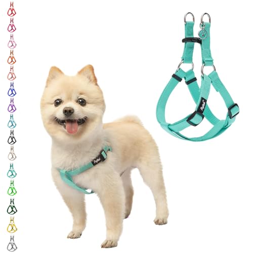 PUPTECK No Pull Dog Harness Soft Adjustable Basic Nylon Step in Puppy Vest Outdoor Walking with ID Tag - color: Light Green, size: X-Small