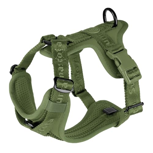 No Pull Dog Harness with Lycra, Three-Point Force Dispersion & 3D Padding, Adjustable Breathable Mesh for Small Medium Large Dogs(Misty Green,XS) - color: Misty Green, size: XS(Neck:10.0-16.0,Chest:14.0-20.0)