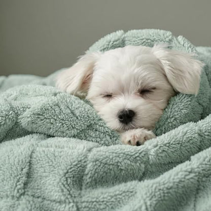 David's Home Large Dog Blankets Washable Pet Bed Cover Twin Size, Soft Fluffy Fuzzy Cat Puppy Blanket with Premium 300GSM Fleece for Pet Kitten Doggy, Aqua Gray, 66 * 90" - color: Aqua Gray, size: Twin