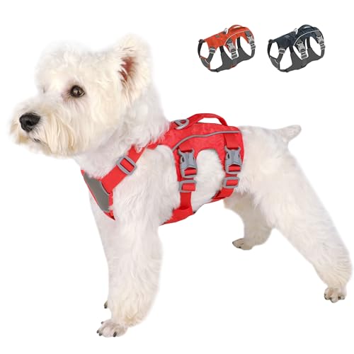 Escape Proof Dog Harness, Lightweight Full Body Pet Vest with Lift Handle and Leash Clip, Reflective Adjustable Small Dog Harness for Daily Walking(Red,Chest:14-22") - color: Red, size: XS: Chest 14-22", Fit 8-12 lbs