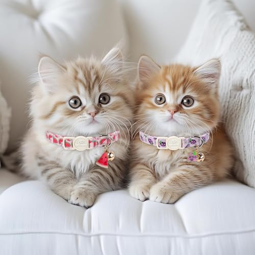 2 Pack Summer Cat Collars - Lavender GRAP & Pink Watermelon Breakaway Safety Cat Collars, Adjustable Soft Boy Girl Kitten Collar for Small Dogs Puppy, Cute Pet Collar with Bell & Pendant - color: Grap&Watermelon