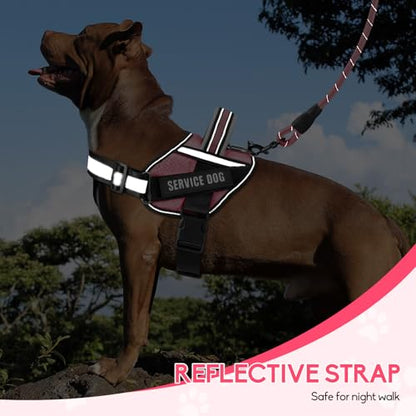 Service Dog Vest Harness and Leash Set, Animire in Training Dog Harness with 10 Dog Patches, Reflective Dog Leash with Soft Padded Handle for Small, Medium, Large, and Extra-Large Dogs - color: Rosy, size: XXS