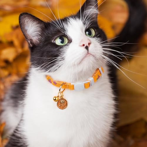 2 Pack Cotton Breakaway Cat Collar Yellow and Pink Rose Pendant Cute Kitten Cat Collar with Bell - color: Yellow Rose&Pink Rose