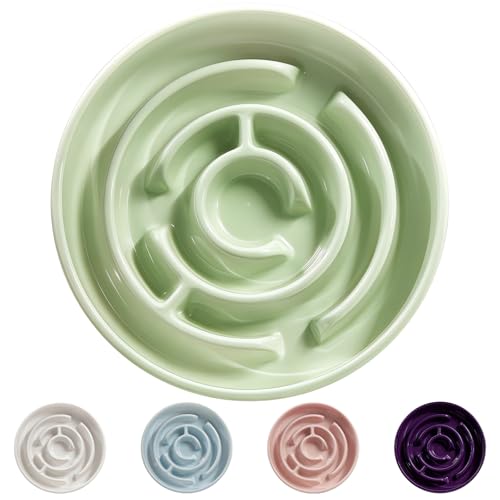 Ceramic Slow Feeder Dog Bowl,1.5 Cups Pet Slow Feeder for Small and Medium Breed,Puzzle Dog Food Dish,Anti-Gulping,Stop Bloat,Preventing Choking(Green) - color: Green