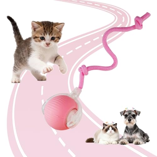 KumCinn Interactive Dog Ball for Small Medium Dogs, Automatic Self Moving Cat Toys Ball for Indoor Cats, 360° Rolling Electric Pet Ball, Fast Smart Motion Activated Toy (Pink) - color: PINK
