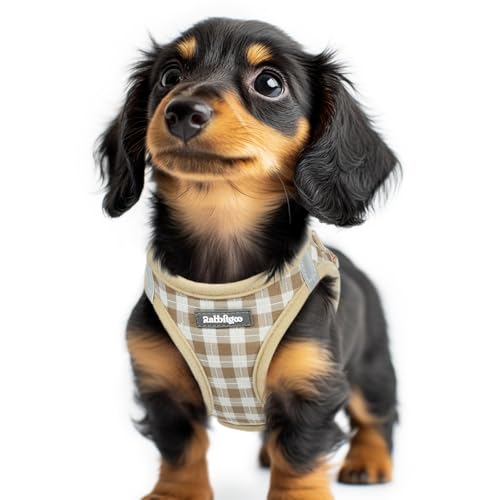 rabbitgoo Small Dog Harness, Step-in Soft Mesh Puppy Vest with Safety Buckle, Breathable Reflective Pet Harness for Small Sized Dogs, Beige Plaid XXS - color: Beige Plaid, size: Xxs(chest:12.4"-14.2")