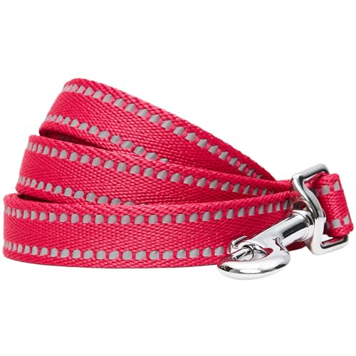 Blueberry Pet Essentials Matching Dog Collar & Leash Set | Pastel Reflective Adjustable Collar with 5 ft Lead for Medium Dogs, Very Berry - color: Very Berry, size: Medium