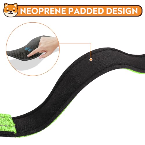 Reflective Dog Collar, Adjustable Soft Neoprene Padded Nylon Pet Collars with Buckle for Puppy and Small Dogs, Cats, Green,XS - color: Green, size: X-Small