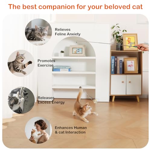 BioBugs Refill Pack – Dragonfly, Butterfly, Mayfly & Spider Attachments for Interactive Cat Wand Toys - color: BioBugs Refills