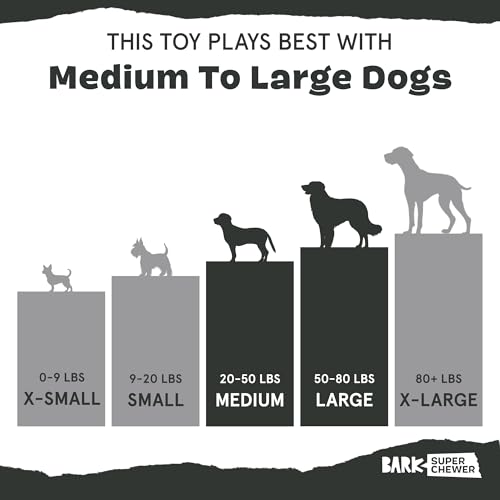 Barkbox Tough Break Bacon Dog Toy | Solid Nylon Bacon-Scented Dog Toy for Aggressive Chewers | Durable Dog Chew Toy for Medium & Large Dogs - style: Tough Break Bacon