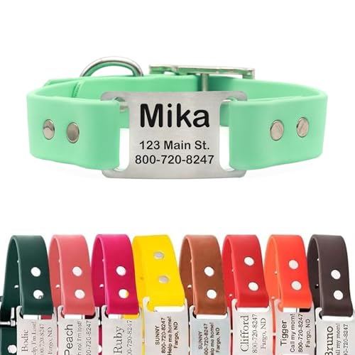 dogIDs Personalized Dog Collar – ScruffTag Custom Waterproof Biothane Dog Collar with Laser-Engraved Name, Durable & Odor-Resistant – USA Made | Mint, 1 in x 16 in (Fits Neck Sizes 14-18 in) - color: Mint, size: 1 in x 16 in (Fits Neck Sizes 14-18 in)