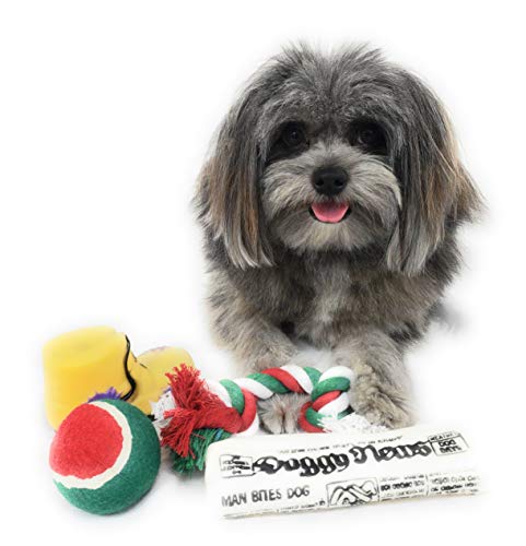 Christmas Dog Stocking Toys. Pack Assorted with Squeaker Inside of Newspaper Toy, Squeaky Boot, a red, Green & White Tennis Ball & red White & Green Knotted Rope Xmas Toy. Small Medium Large Breeds