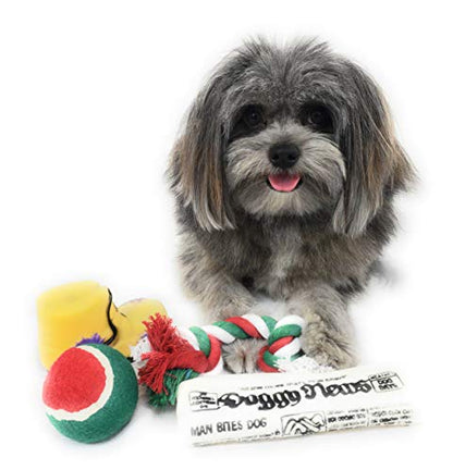 Christmas Dog Stocking Toys. Pack Assorted with Squeaker Inside of Newspaper Toy, Squeaky Boot, a red, Green & White Tennis Ball & red White & Green Knotted Rope Xmas Toy. Small Medium Large Breeds