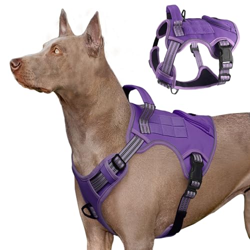 Heavy Duty Tactical Dog Harness for Large Dogs, Adjustable Reflective Service Vest with Control Handle & 4 Patches, No Pull Soft Padded Military Pet Harness for Training Walking Hiking (Purple, M) - color: Purple, size: M