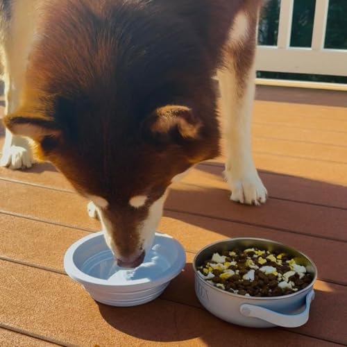2-in-1 Travel Dog & Cat Bowl – Collapsible BPA-Free Silicone & 18/8 Stainless Steel, Portable & Non-Slip with Handle, Easy to Clean, Food & Water Bowl for On-the-Go Pets, Bottle/PoopBag Holder - color: Blue Bowl