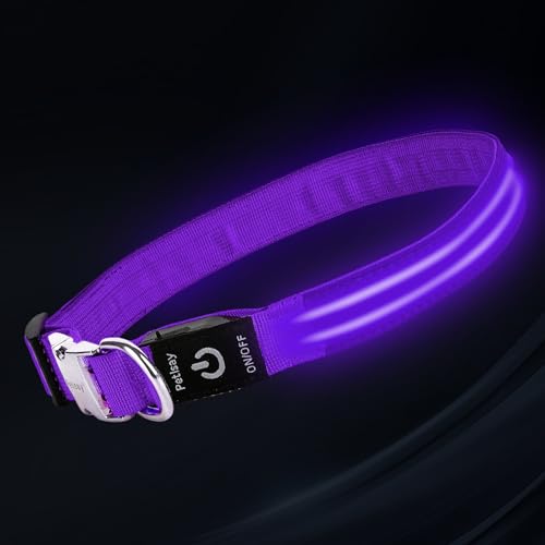 LED Dog Collar with Metal Buckle - USB Rechargeable Glow Collar for Dogs, Waterproof Light Up Dog Collar w/Reflective Strips - Adjustable Night Safety Collars by PetIsay(Purple, Small) - color: Purple(Fiber optic version), size: Small (11" - 15½ ")