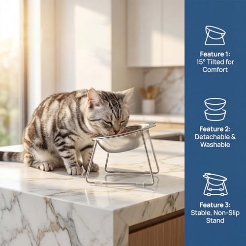 Stainless Elevated cat Bowls 5.9 Inch with Metal Stand Slip Resistant Base 15 Degrees Tilted Raised Pet Dishes Double Bowl Design Food and Water Dish for Cats Kitten Small Dog (2 Pack Raised Bowls) - color: 2 pack raised bowls