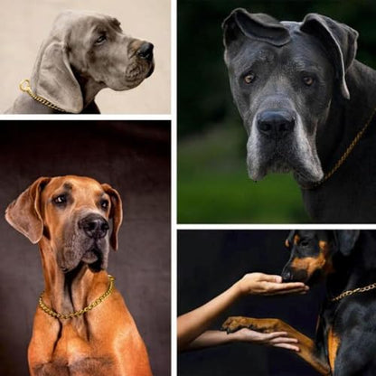Dog Chain Collars, Metal Choke Link Dog Collar Choker Training Heavy Duty Slip Martingale Puppy Collars for XS Small Medium Large Big XL Breed Dogs (Gold, S(Neck Max 16inch) D2.5mm) - color: Gold, size: S(Neck Max 16inch)D2.5mm