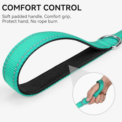 Joytale Dog Leash, 4 FT Double-Sided Reflective, Padded Handle Nylon Heavy Duty Leashes for Medium & Large Dogs Walking, Teal - color: Teal, size: 4 ft Standard