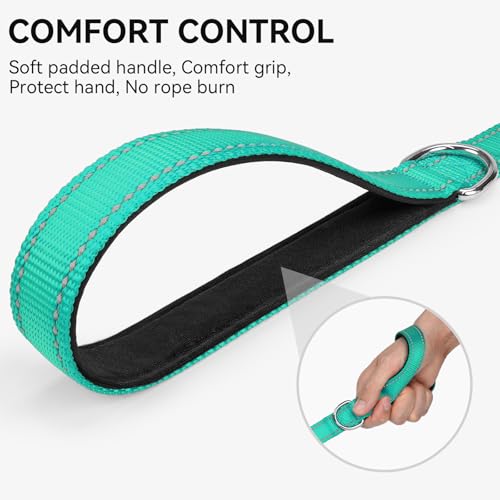 Joytale Dog Leash, 4 FT Double-Sided Reflective, Padded Handle Nylon Heavy Duty Leashes for Small Dogs Walking, Teal - color: Teal, size: 4 ft Narrow