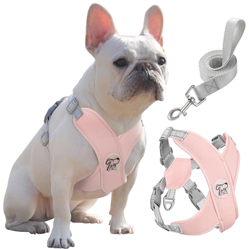 Pawaboo Small Dog Harness and Leash Set, Puppy Harness X-Frame No Pull No Choke, Soft Dog Vest Harnesses Adjustable for Small Medium Sized Dogs, Breathable Pet Harnessesfor Walking Outing (L, Pink) - color: A-Pink, size: L(Neck 17.3-20.5" Chest 15.7-26.0"