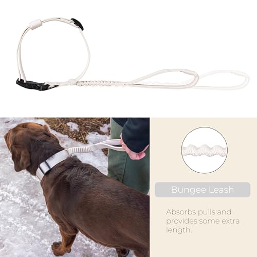 TUG Grab Collar | Integrated Traffic Leash Magnetically Attached for Quick Control (Large/Cream) - color: Cream, size: Large